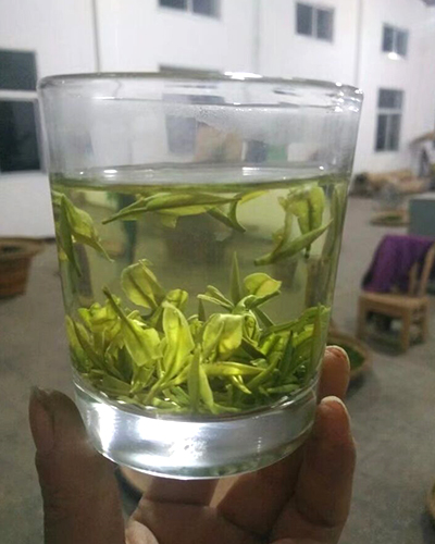 湖北綠茶廠家